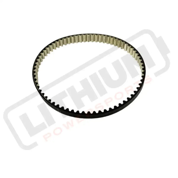 Light Bee Primary Belt (Dayco 2025)