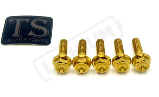 Titanium Rear Sprocket Bolts - E - Moto - Lithium Powersports