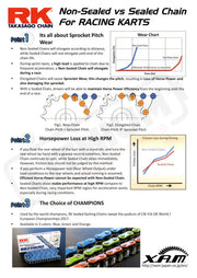 219 RK Sealed O-Ring | Primary Belt to Chain Conversion Kit | E Ride Pro 2.0 Chain Drive Kit