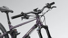 Bonnell 775 AM Electric Mountain Bike eRides