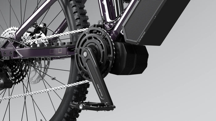 Bonnell 775 AM Electric Mountain Bike eRides