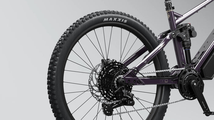 Bonnell 775 AM Electric Mountain Bike eRides