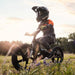 Stacyc 16" eDrive Brushless Kids Electric Bike - Lithium Powersports