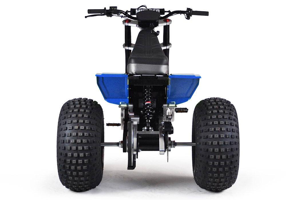 MINI RCR T3 - Blue with Blue Fenders