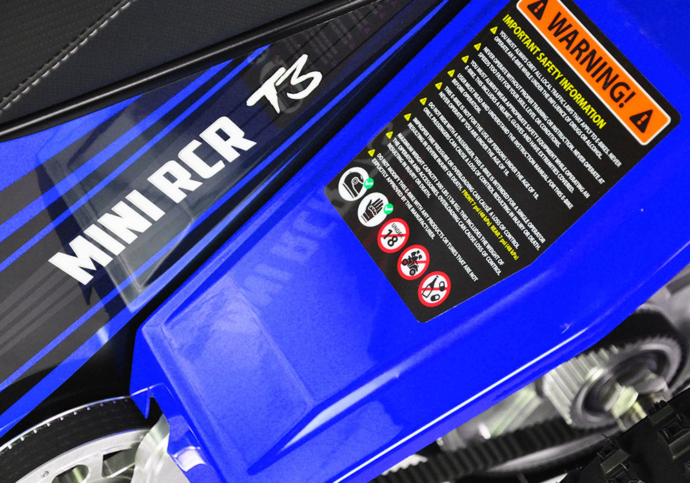 MINI RCR T3 - Blue with Blue Fenders