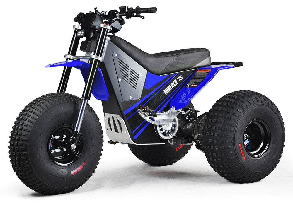 MINI RCR T3 - Blue with Blue Fenders