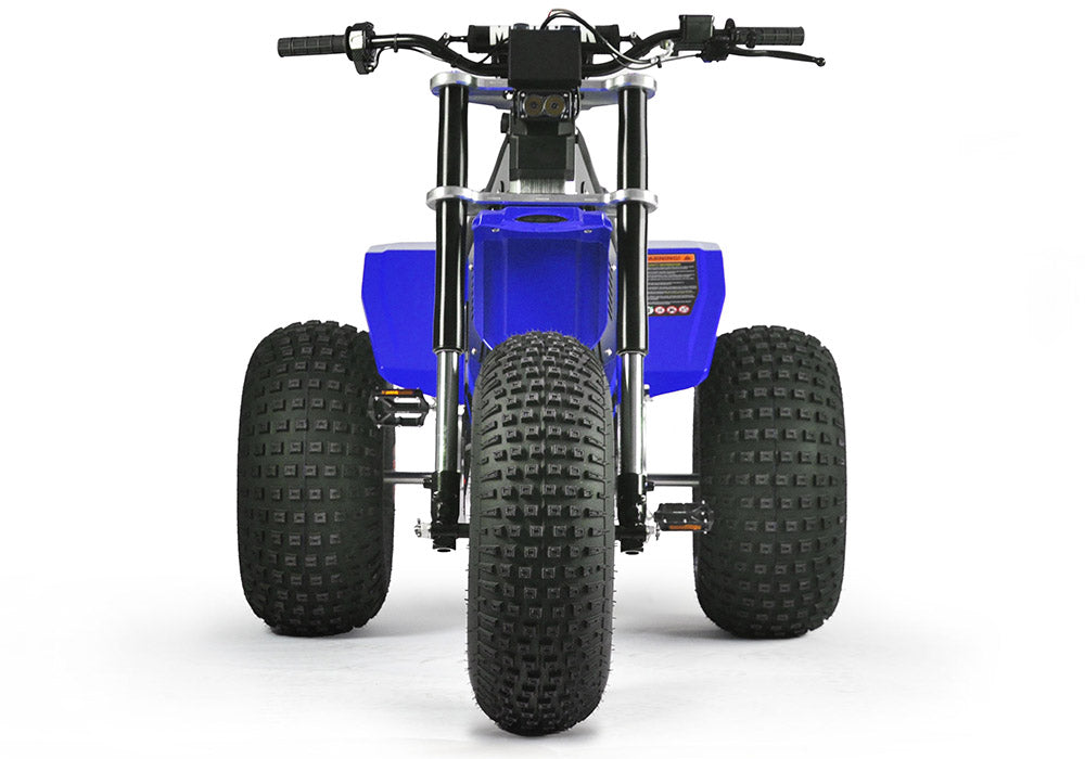 MINI RCR T3 - Blue with Blue Fenders