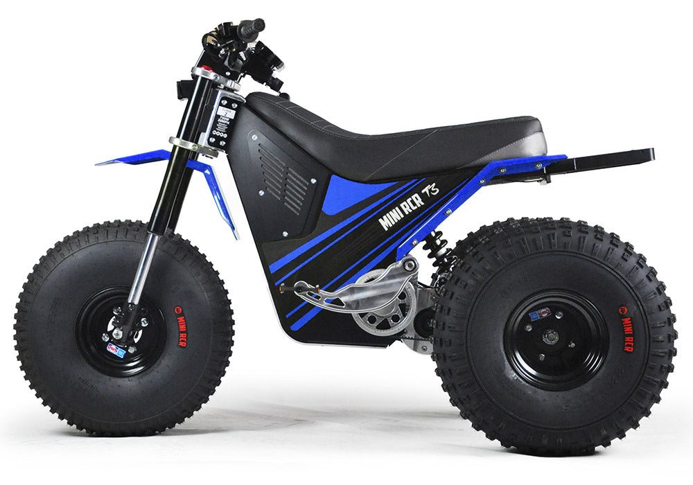 MINI RCR T3 - Blue with Blue Fenders
