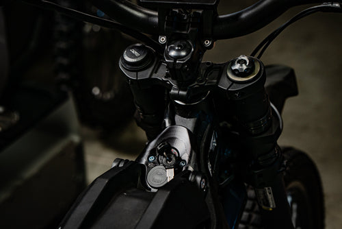 Prickly EMoto Ignition Switch Cover