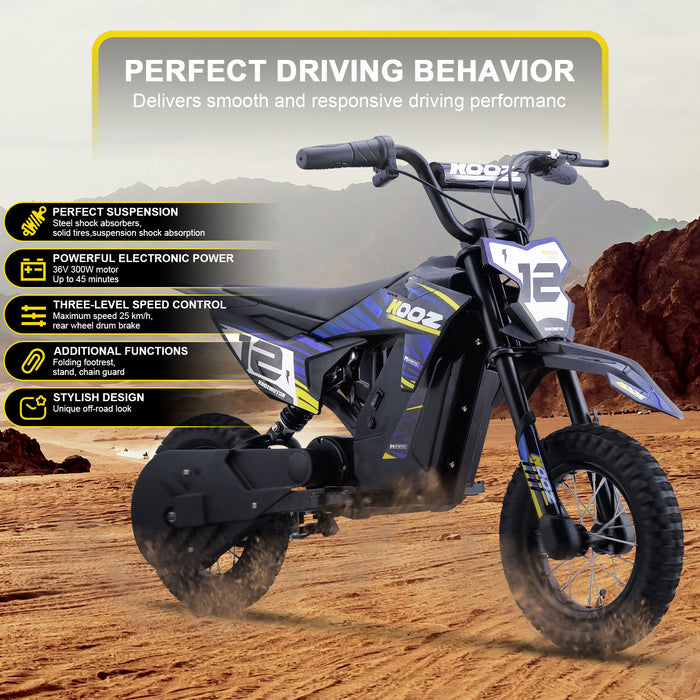 MotoTec 36v 300w Electric Dirt Bike