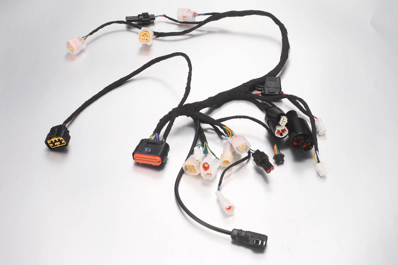 ERide Pro Mini E6028 - Main Wiring Harness