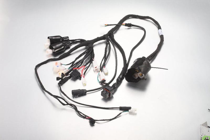 ERide Pro SS 3.0 E7015 - Main Wiring Harness