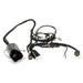 Surron Light Bee OEM Wiring Harness Main Cable Harness - Lithium Powersports