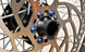 Product image thumbnail 3