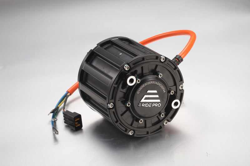 ERide Pro Mini SHE7918 - 2KW Motor