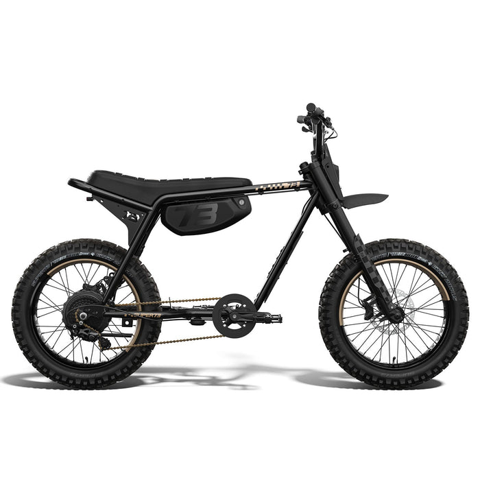 Side view of the SUPER73-Z Adventure SE ebike in Bandit. @collor_bandit