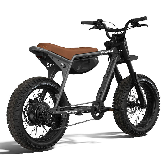 Rear view of the SUPER73-Z Adventure SE ebike in Palldium. @color_palladium