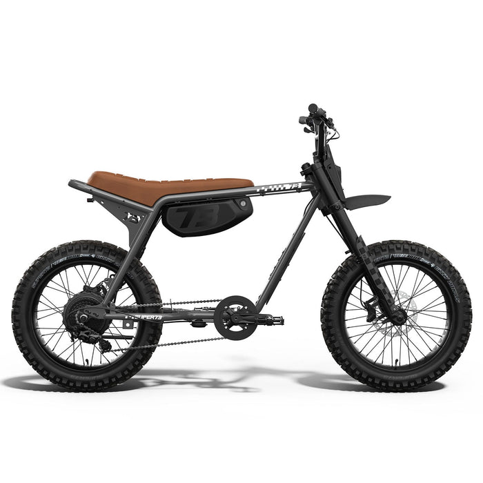 Side view of the SUPER73-Z Adventure SE ebike in Palldium. @color_palladium