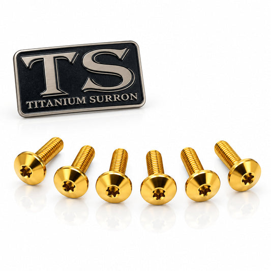 TS Titanium Front Rotor Bolts - E-Moto