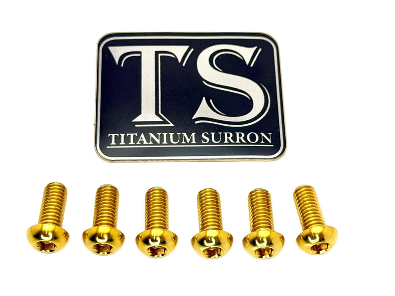 Titanium Rear Rotor Bolts - E-moto