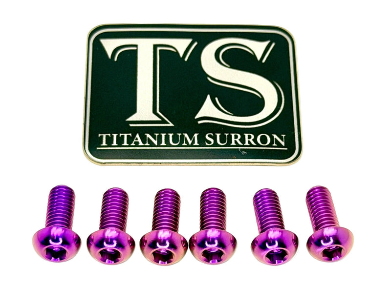 Titanium Rear Rotor Bolts - E-moto