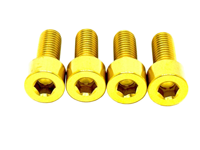 TS Talaria XXX Seat Subframe or Foot Peg Titanium Bolts (4)