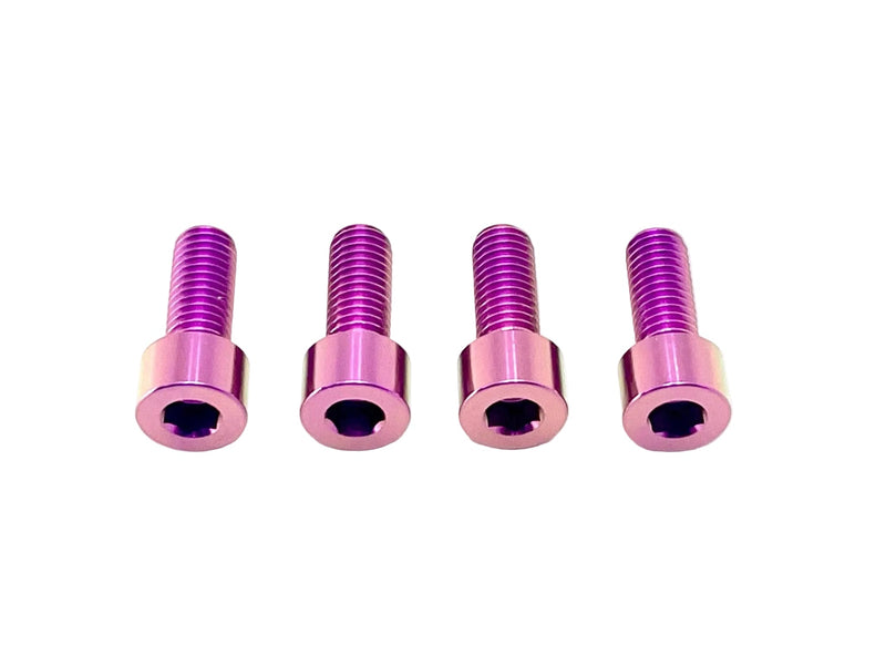 TS Talaria XXX Seat Subframe or Foot Peg Titanium Bolts (4)