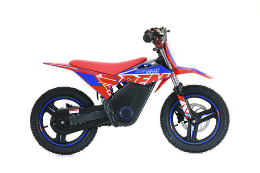RFN Warrior Kids SX-E500 Electric Bike eParts