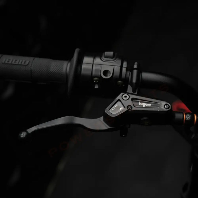 Arctic Leopard XE PRO 72v 55ah 16.8KW Electric Dirt Bike - Lithium Powersports