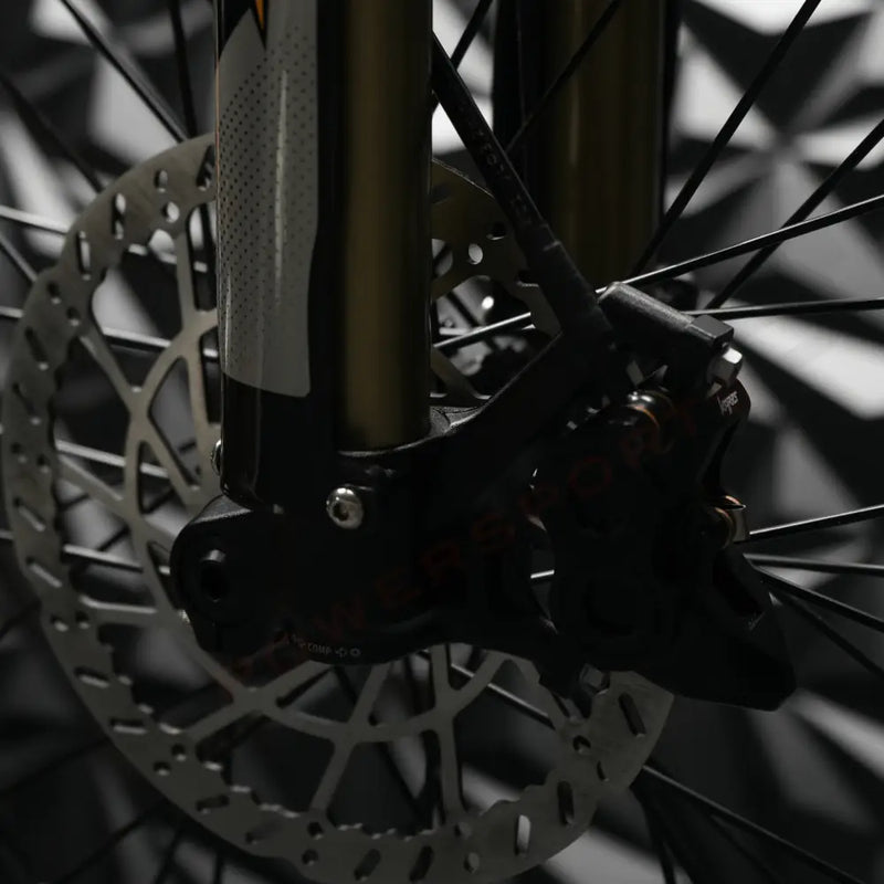 Arctic Leopard XE PRO 72v 55ah 16.8KW Electric Dirt Bike - Lithium Powersports