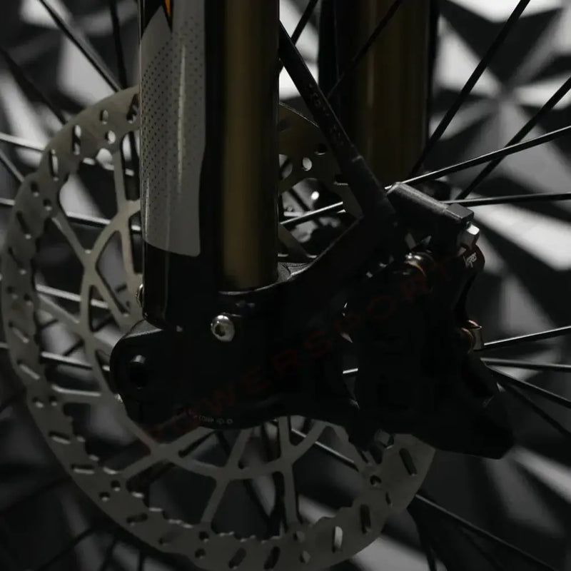 Arctic Leopard XE Pro S 72v 55ah 20KW Electric Dirt Bike - Lithium Powersports