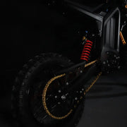 Arctic Leopard XF - Pinned Electric