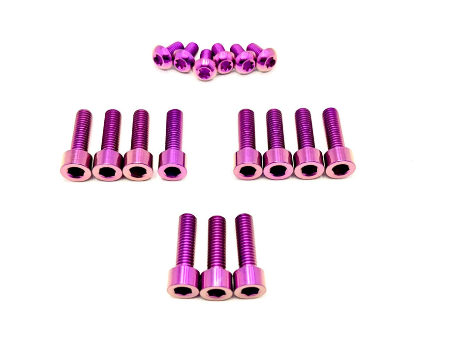 Titanium Surron Titanium DNM/ KKE Fork Bolt Kits Purple DNM/ KKE Fork Titanium Bolt Kit