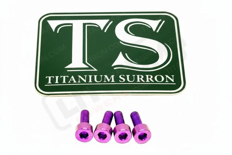 E-Ride Pro Display Protector Titanium Bolts - Purple - Titanium Hardware