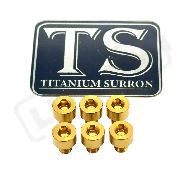 EBMX X9000 Heat Sink Titanium Bolt Kits (6) - Gold - Titanium Bolts