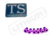 EBMX X9000 Heat Sink Titanium Bolt Kits (6) - Lithium Powersports