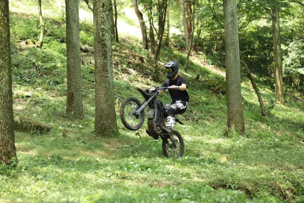 ERide PRO S 17