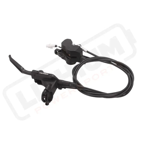 Rear Brake Assembly - ProS/SS 2.0