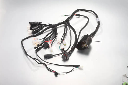 ERide Pro SS 3.0 E7015 - Main Wiring Harness - Electrical