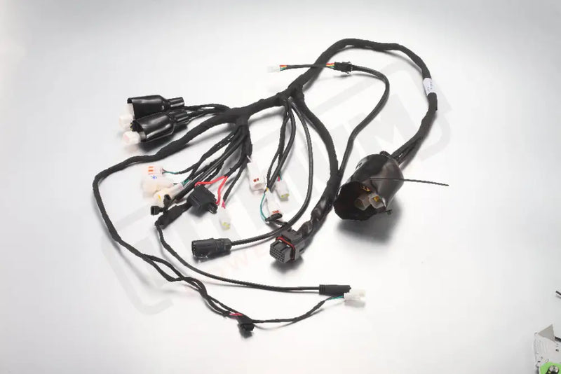 ERide Pro SS 3.0 E7015 - Main Wiring Harness - Electrical