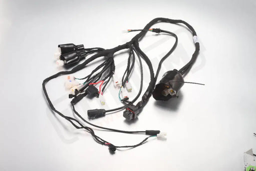 ERide Pro SS 3.0 E7015 - Main Wiring Harness - Electrical