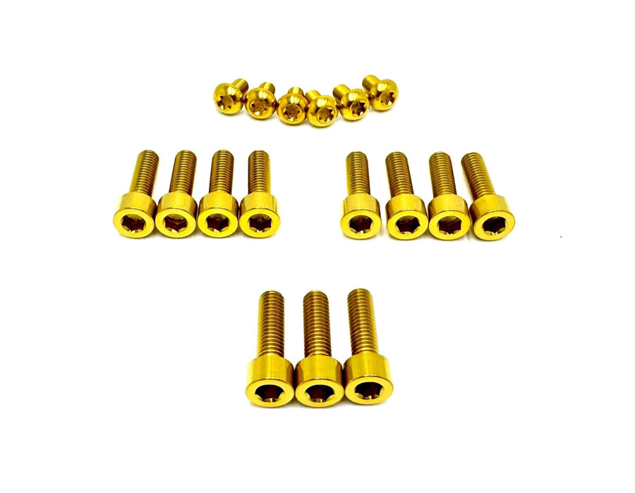 Titanium Surron Titanium Bolt Kit for E-Ride Pro SS 3.0 Factory FastAce Fork (ALX32RC) Gold ERP SS 3.0 Titanium Bolt Kit