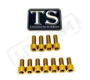 Fox 40 and Bomber 58 Fork Titanium Bolt Kits - Gold - Titanium Bolts