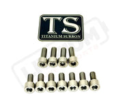 Fox 40 and Bomber 58 Fork Titanium Bolt Kits - Silver - Titanium Bolts