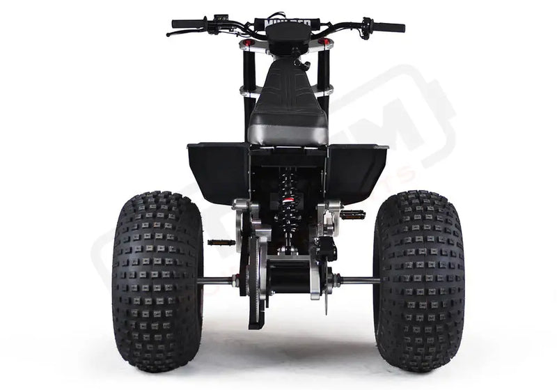 MINI RCR T3 - Black with Black Carbon Fenders - Lithium Powersports