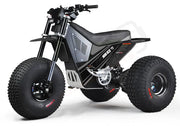 MINI RCR T3 - Black with Black Carbon Fenders - Lithium Powersports