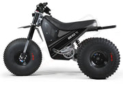 MINI RCR T3 - Black with Black Carbon Fenders - Lithium Powersports