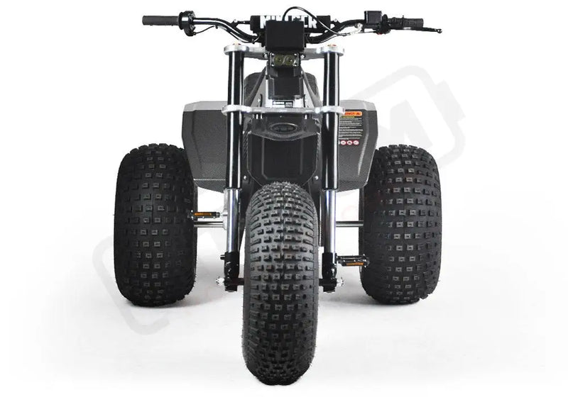 MINI RCR T3 - Black with Black Carbon Fenders - Lithium Powersports