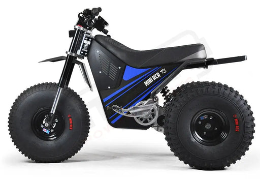 MINI RCR T3 - Blue with Black Carbon Fenders - Lithium Powersports