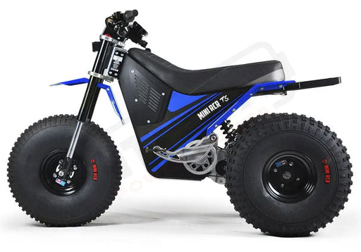 MINI RCR T3 - Blue with Blue Fenders - Lithium Powersports